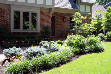 Landscaping Portfolio